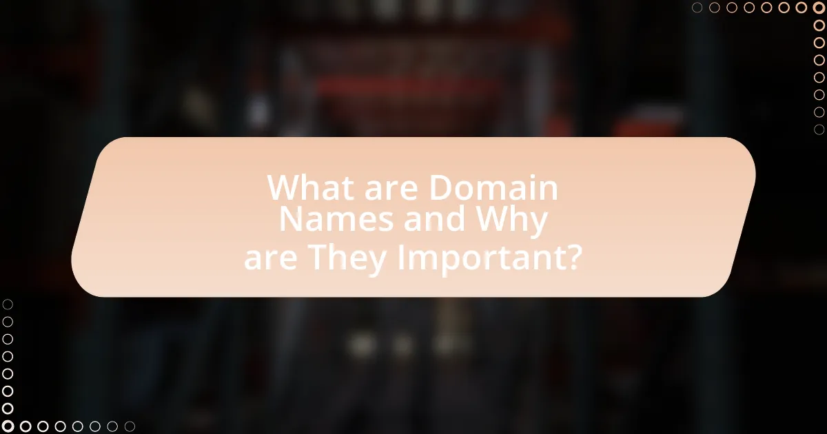 What are Domain Names and Why are They Important?